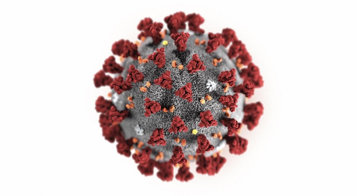 Coronavirus