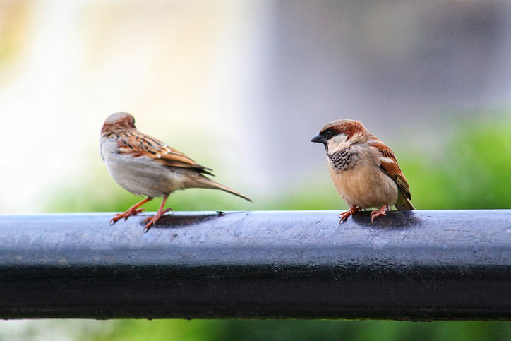 Image for representation (iStock Photo)