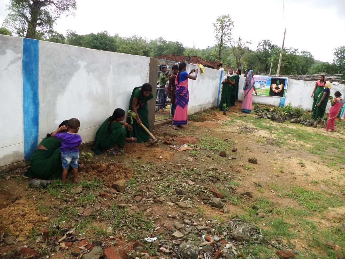 Tribal hostel planting sapling (Image for representation/DH Photo)