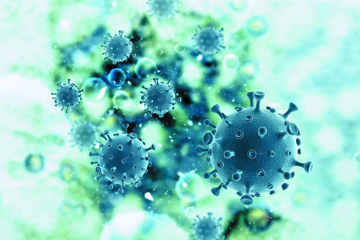 In the research, the scientists evaluated adjusted-CFR to capture the potential mortality among the currently active infections. Representative image. 