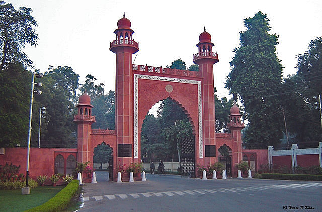 Aligarh Muslim University (Wikipedia photo)