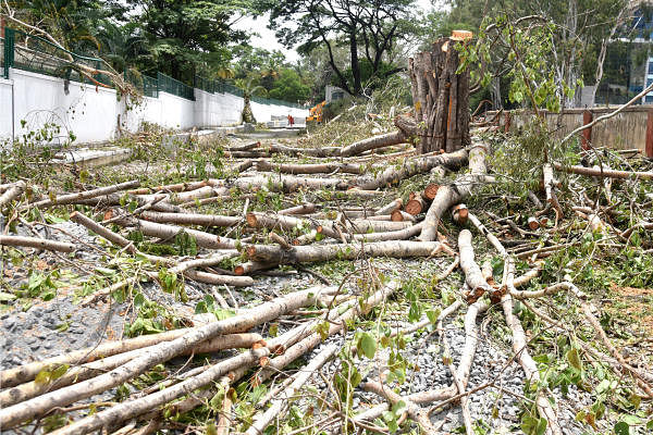 Trees are cutting for Namma Metro rail line construction at Bannerghatta road in front of Fire station in Bengaluru on Wednesday, 10 June 2020. Photo by S K Dinesh