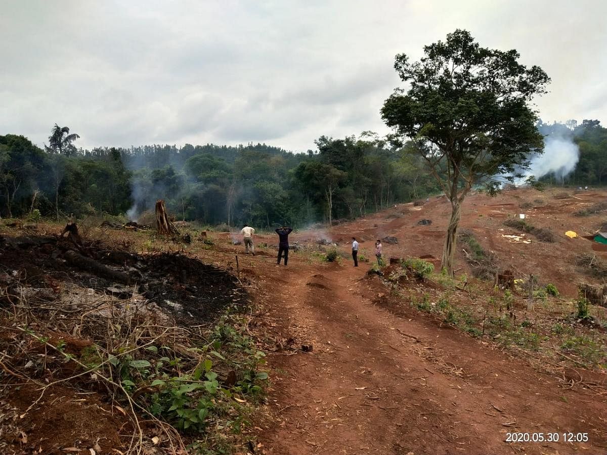 The sites earmarked for victims of natural calamities of Chennadlu in Kalasa Gram Panchayat limits.