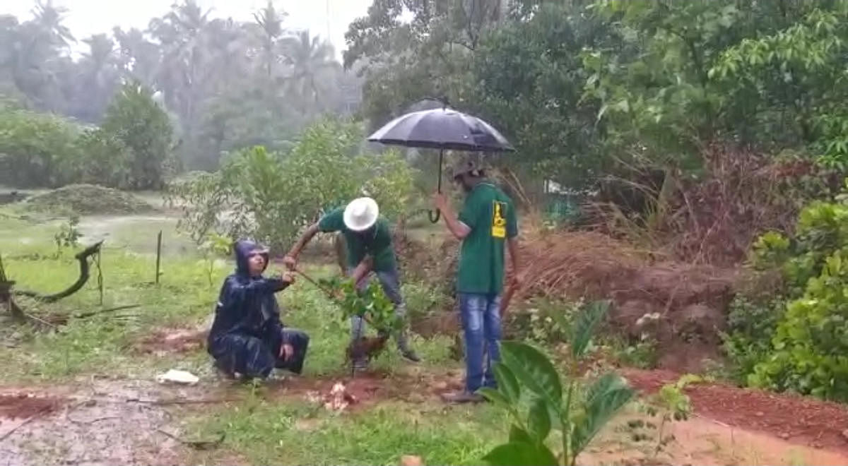 The NECF members planting saplings at an ashrama in Kuthar on the outskirts of Mangaluru.