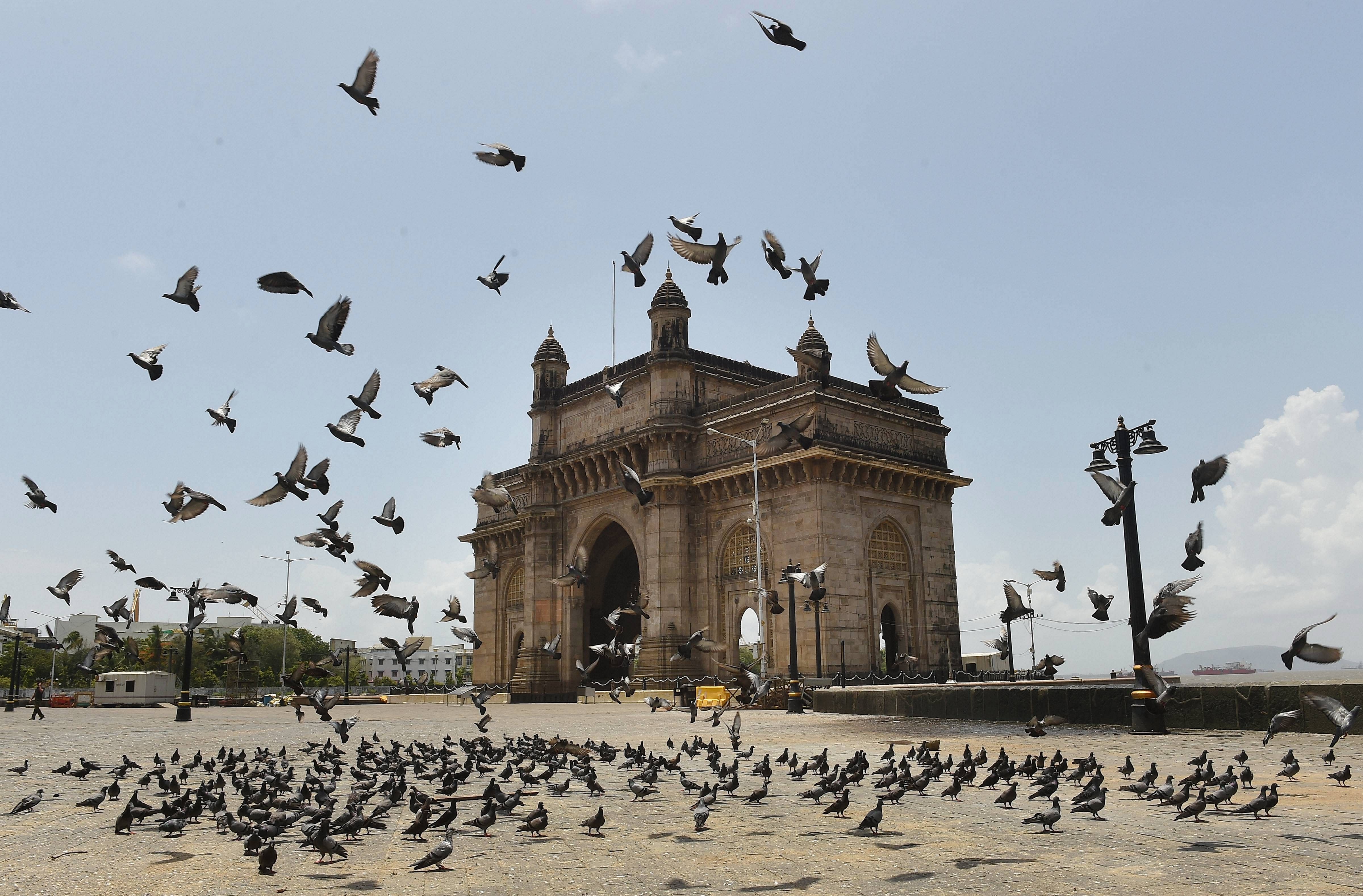 Pigeons fly in front of the Gateway of India during the ongoing Covid-19 lockdown, in Mumbai. (PTI Photo)