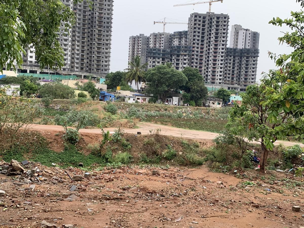 Since 1991, the Subramanyapura lake in Uttarahalli has shrunk from all sides, thanks to encroachment by private builders, slum dwellers and also by the BBMP. The beautiful 18-acre lake has now been reduced to 6 acres of water spread. The Karnataka High Co