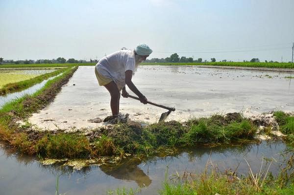 Representative image. Credit: PTI Photo