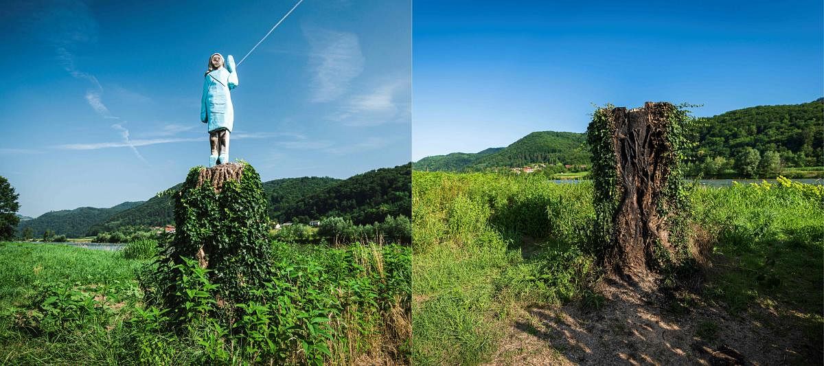 File photo of what conceptual artist Ales 'Maxi' Zupevc claims is the first ever monument of Melania Trump, set in the fields near town of Sevnica, US First Lady’s hometown, and (Right) a photo taken on July 7, 2020, showing the charred remains of a tree trunk that once acted as a plinth to the wooden statue of Melania Trump seen in a field near town of Sevnica. Credit: AFP Photo