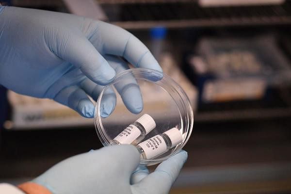 Samples of the potential oral vaccine for the Covid-19. Credit: AFP Photo