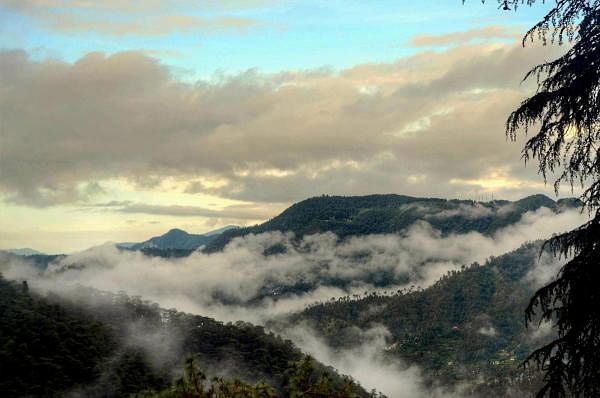 Misty clouds engulf the area after heavy rain, in Shimla, Thursday, July 9, 2020. Credit: PTI Photo
