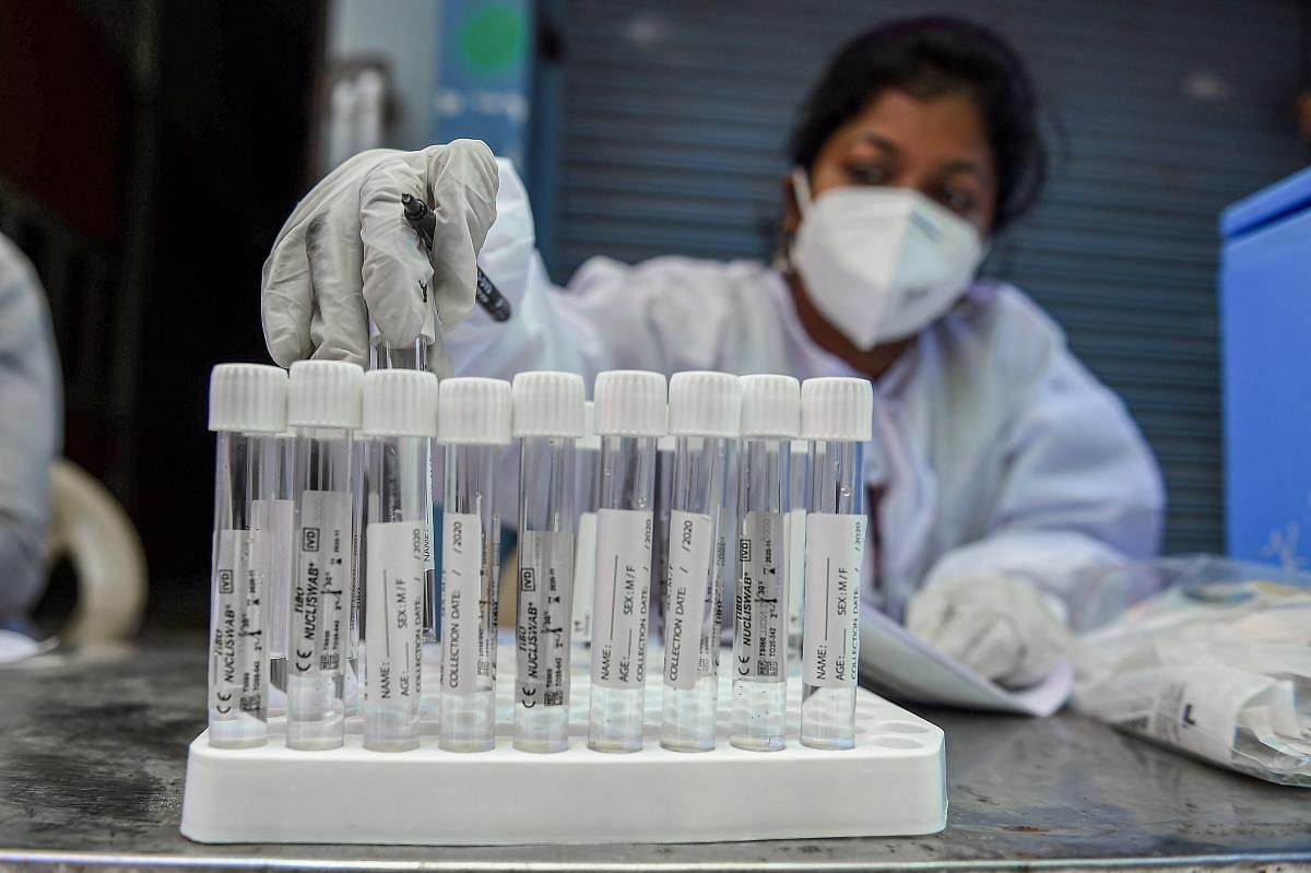 A health worker arranges swab samples on a tray for Covid-19 test at a medical camp (PTI Photo)
