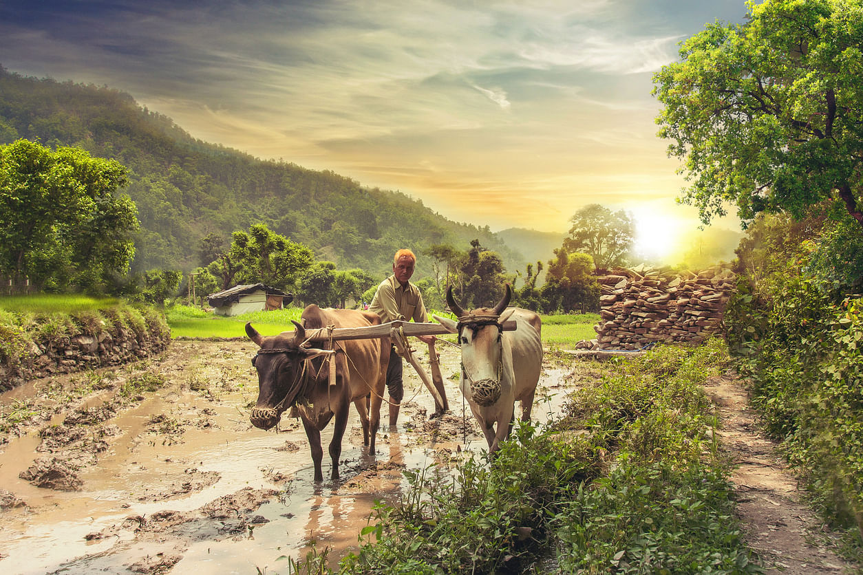 The ordinance liberalises agricultural land ownership in Karnataka. Representative image/iStock