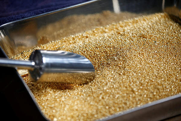 Gold grains. Representative Photo. Credit: Reuters