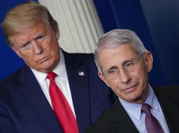 Director of the National Institute of Allergy and Infectious Diseases Anthony Fauci, flanked by US President Donald Trump. Credit: AFP Photo