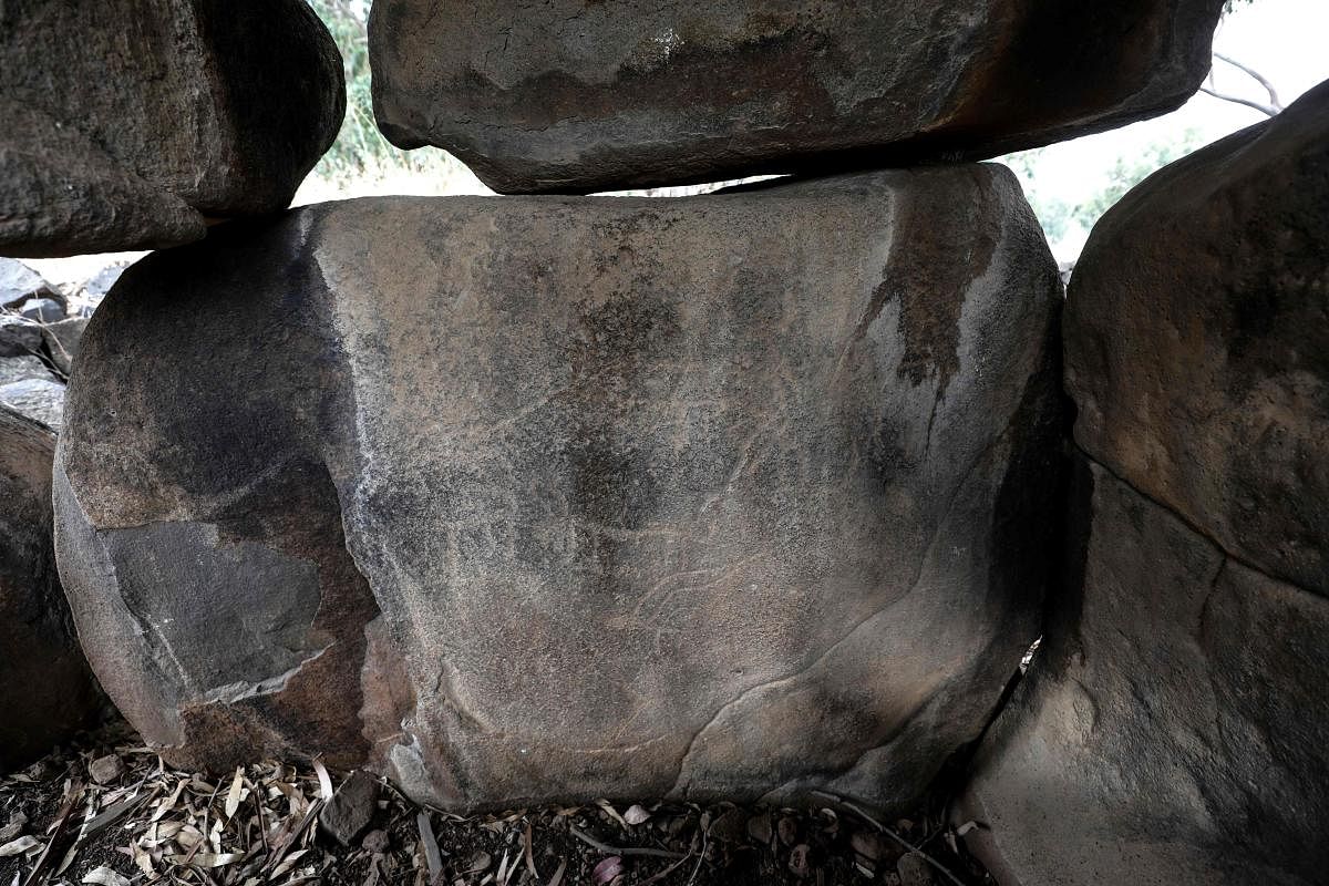 A picture shows engravings in a rock bearing images of animals inside a dolmen from the intermediate Bronze age, in the Israeli-annexed Golan Heights on July 13, 2020. Credit: AFP File Photo