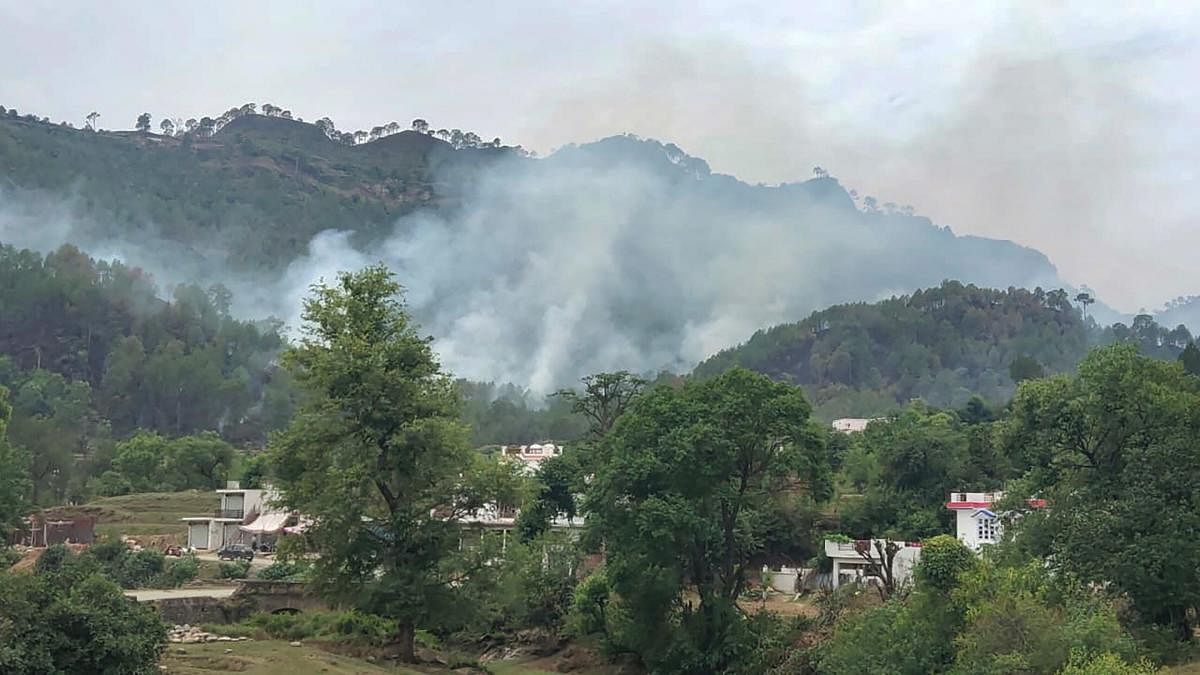 Smoke billows from a forest after a fire following ceasefire violation by Pakistani forces along LOC. Credit: PTI File forces