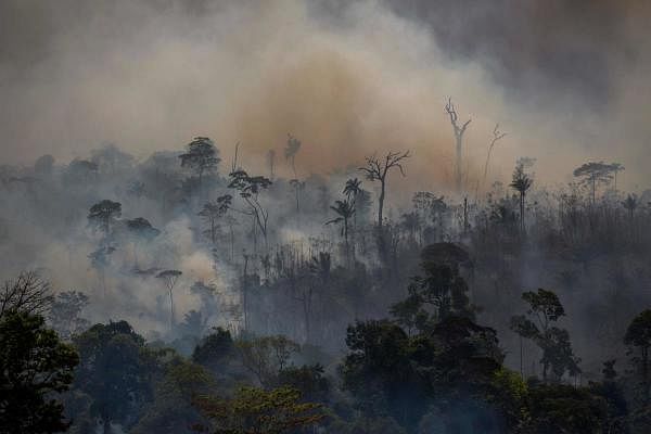 Representative Image. Credit: AFP Photo