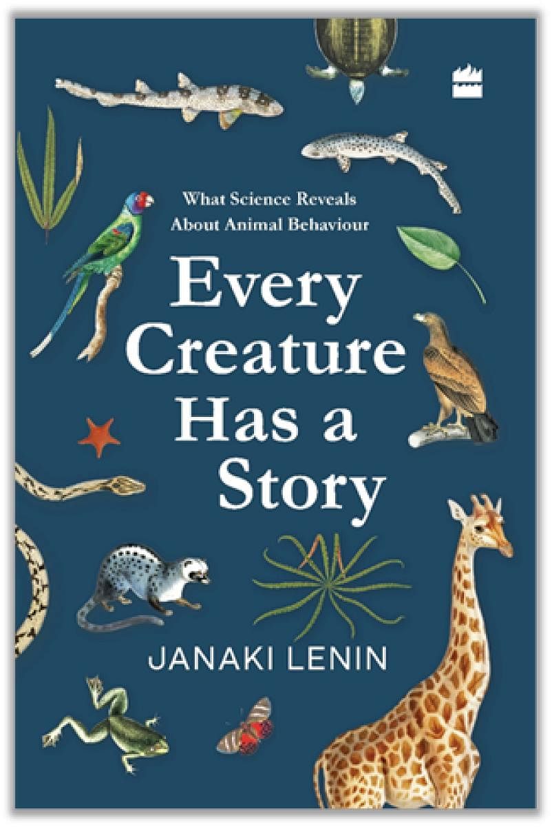 Every Creature Has A Story