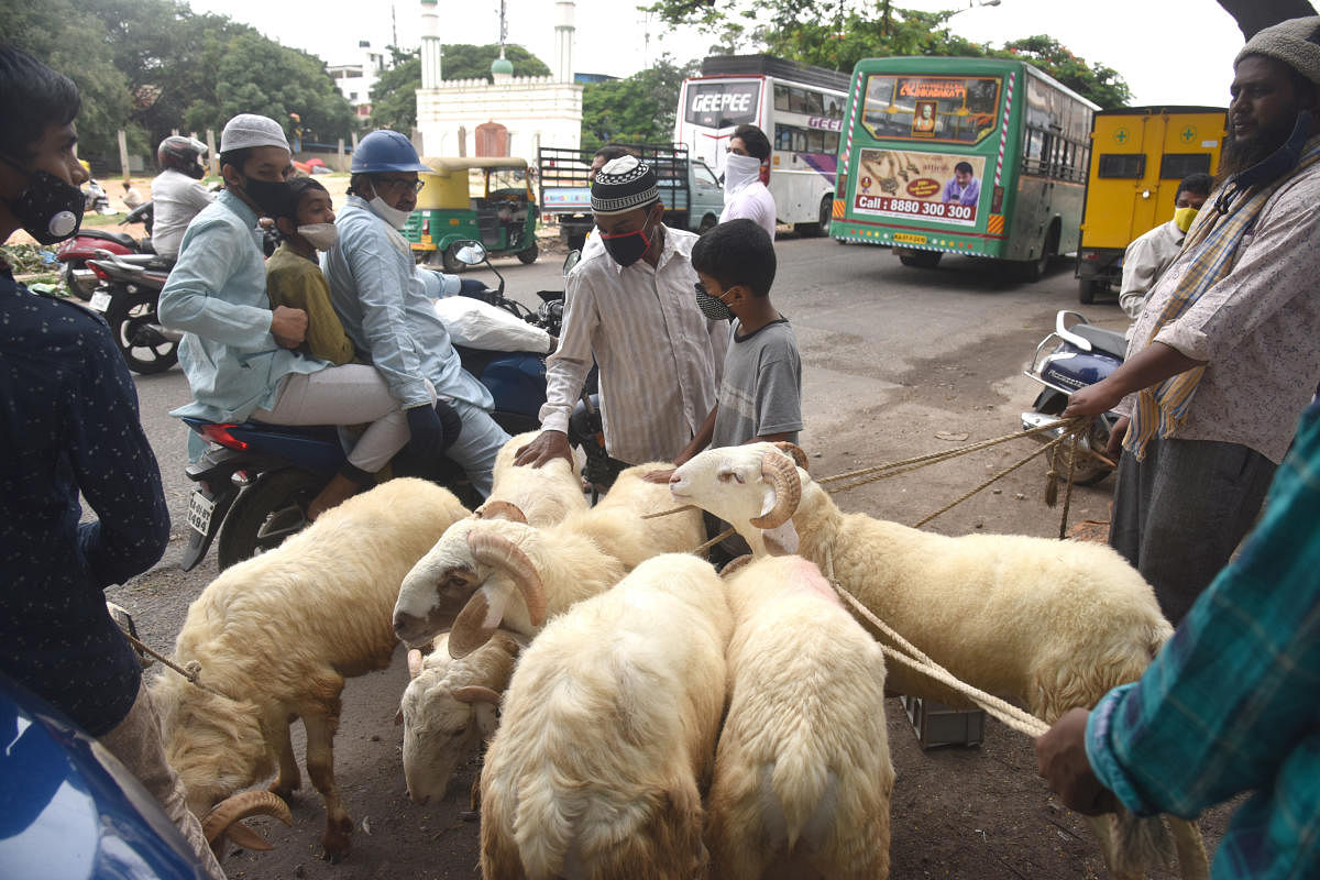 People shop for sheep near the Idgah Maidan in Chamarajpet ahead of Bakrid. DH PHOTO/S K DINESH