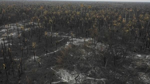 Aerial view of damage caused by wildfires in Otuquis National Park, in the Pantanal ecoregion of southeastern Bolivia. Credit: AFP Photo