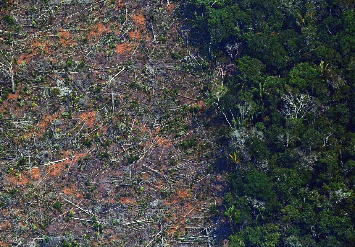 Aerial picture showing a deforested piece of land in the Amazon rainforest near an area affected by fires, about 65 km from Porto Velho, in the state of Rondonia, in northern Brazil. Credit: AFP File Photo