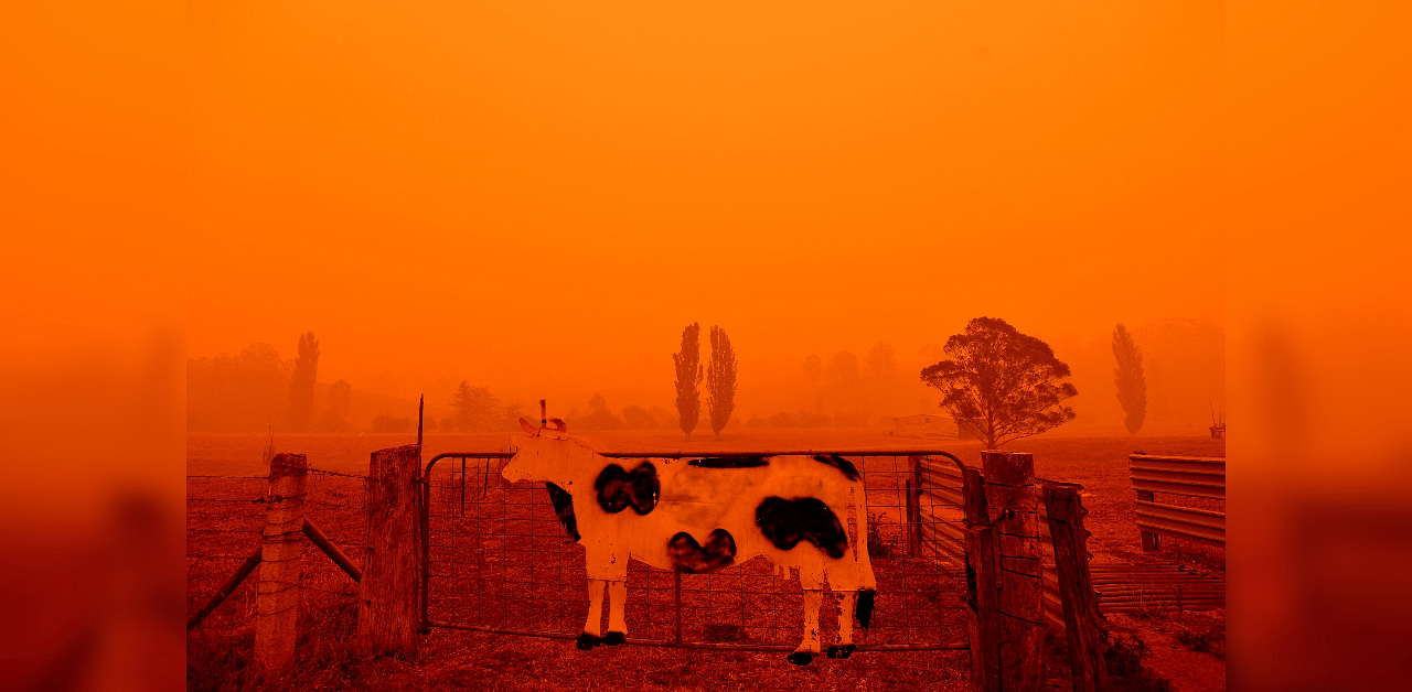 The sky turns red from bushfires in Bemboka, in Australia's New South Wales state on January 5. Credit: AFP Photo