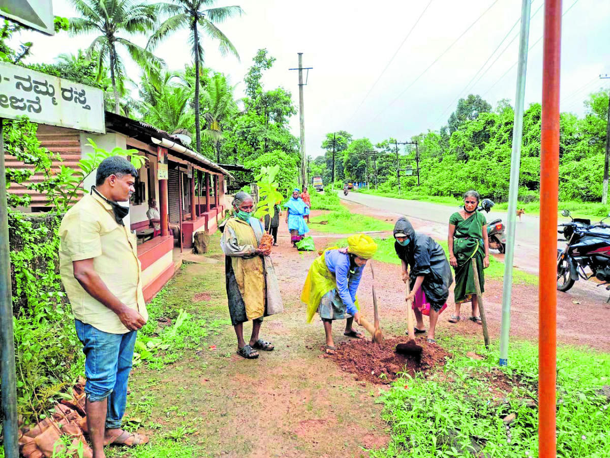 Women engaged in planting saplings in Irvathur Gram Panchayat limits.