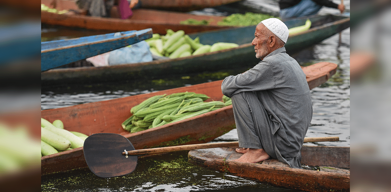 A farmer waits for customers during daybreak at a floating market on the Dal Lake, in Srinagar. Credit: PTI Photo