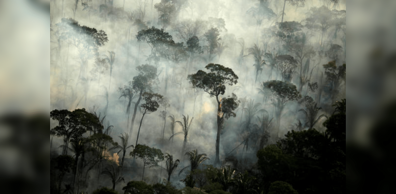 Smoke billows from a fire in an area of the Amazon rainforest near Porto Velho, Rondonia State, Brazil. Credit: Reuters Photo