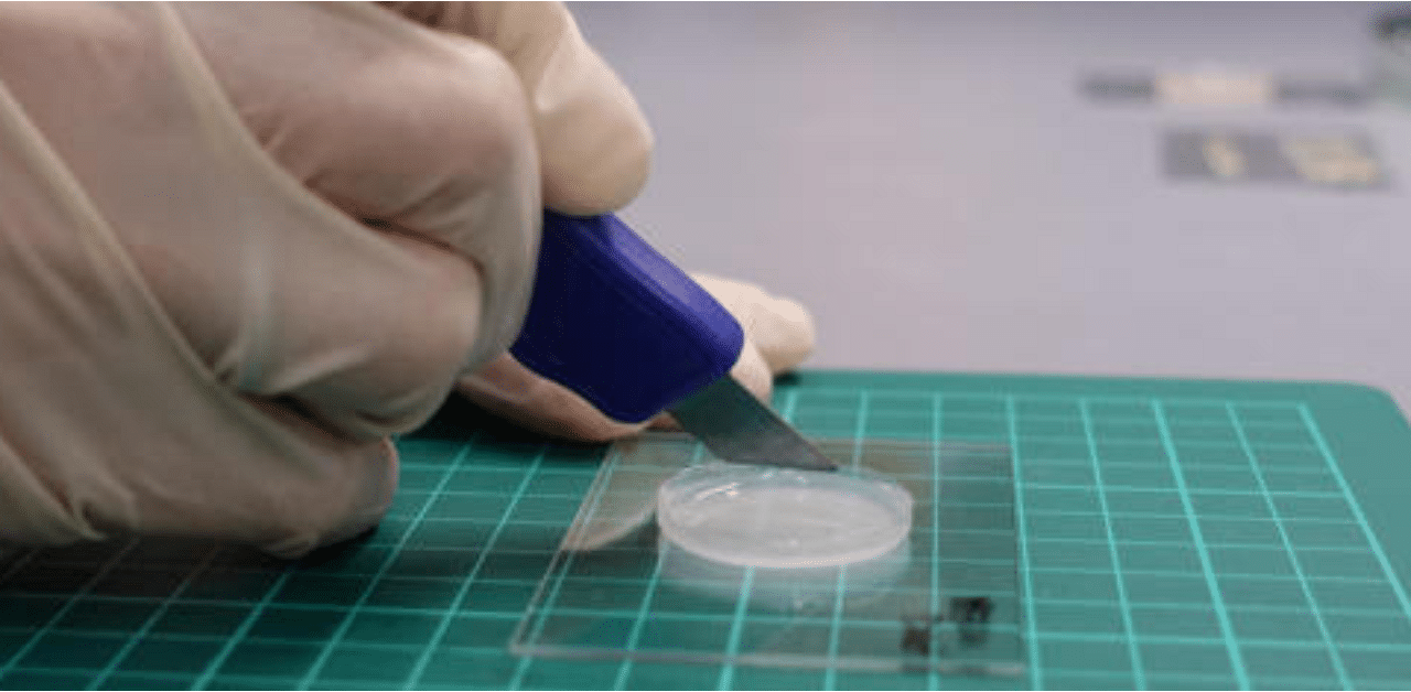 A researcher at the National University of Singapore (NUS) demonstrates the self-healing abilities of an artificial, transparent skin by cutting into it with a retractable knife at a lab in NUS, Singapore. Credit: Reuters Photo