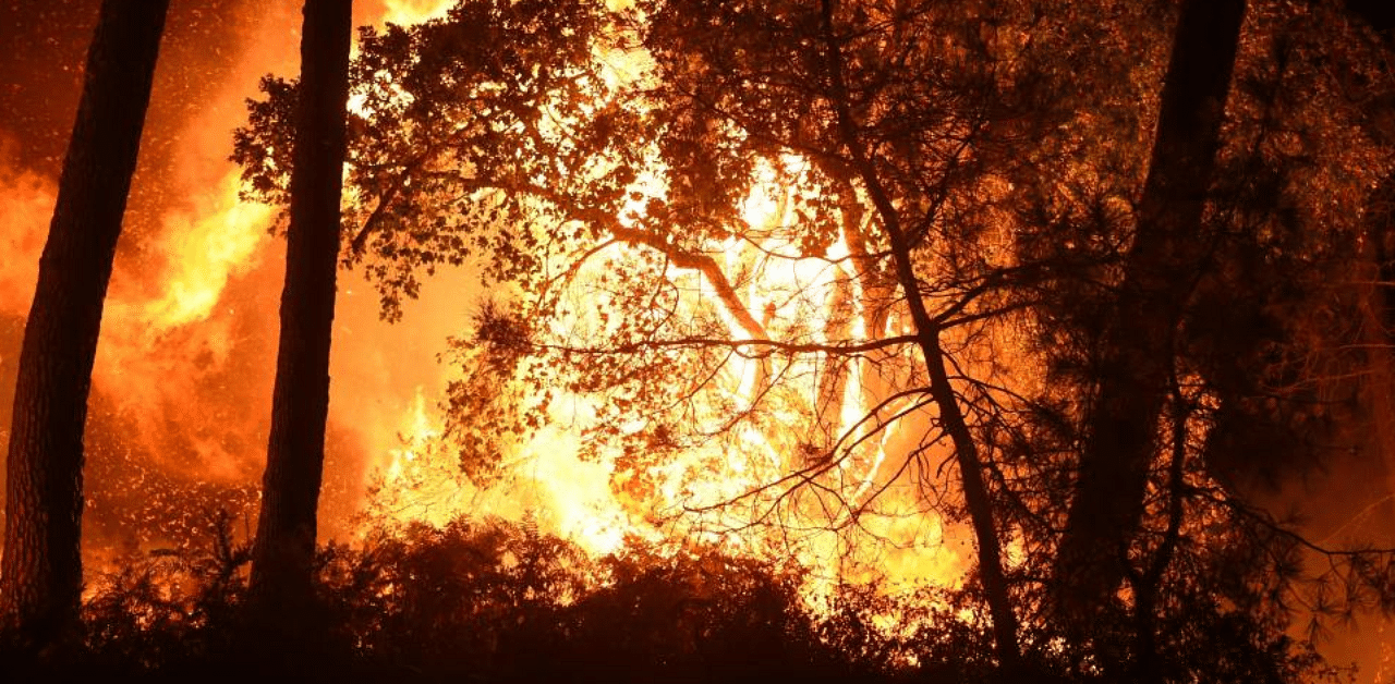 Fire in Chiberta forest in Anglet, southwestern France. Credit: AFP