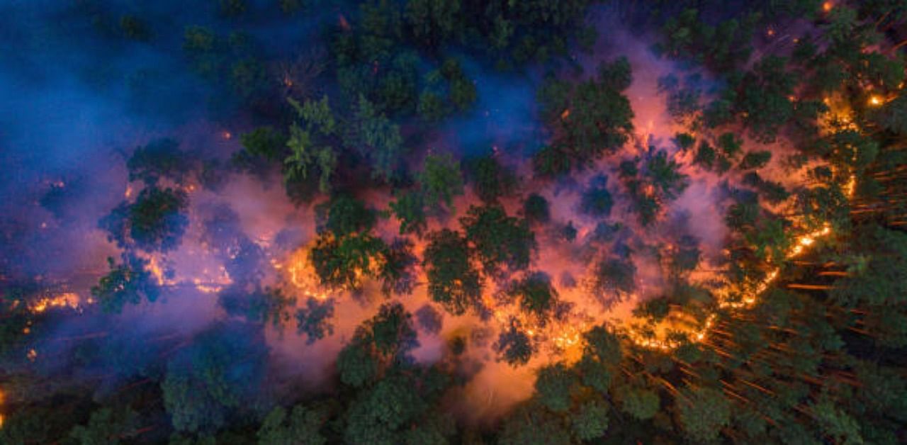 An aerial view shows a forest fire in Krasnoyarsk Region, Russia. Credit: Reuters