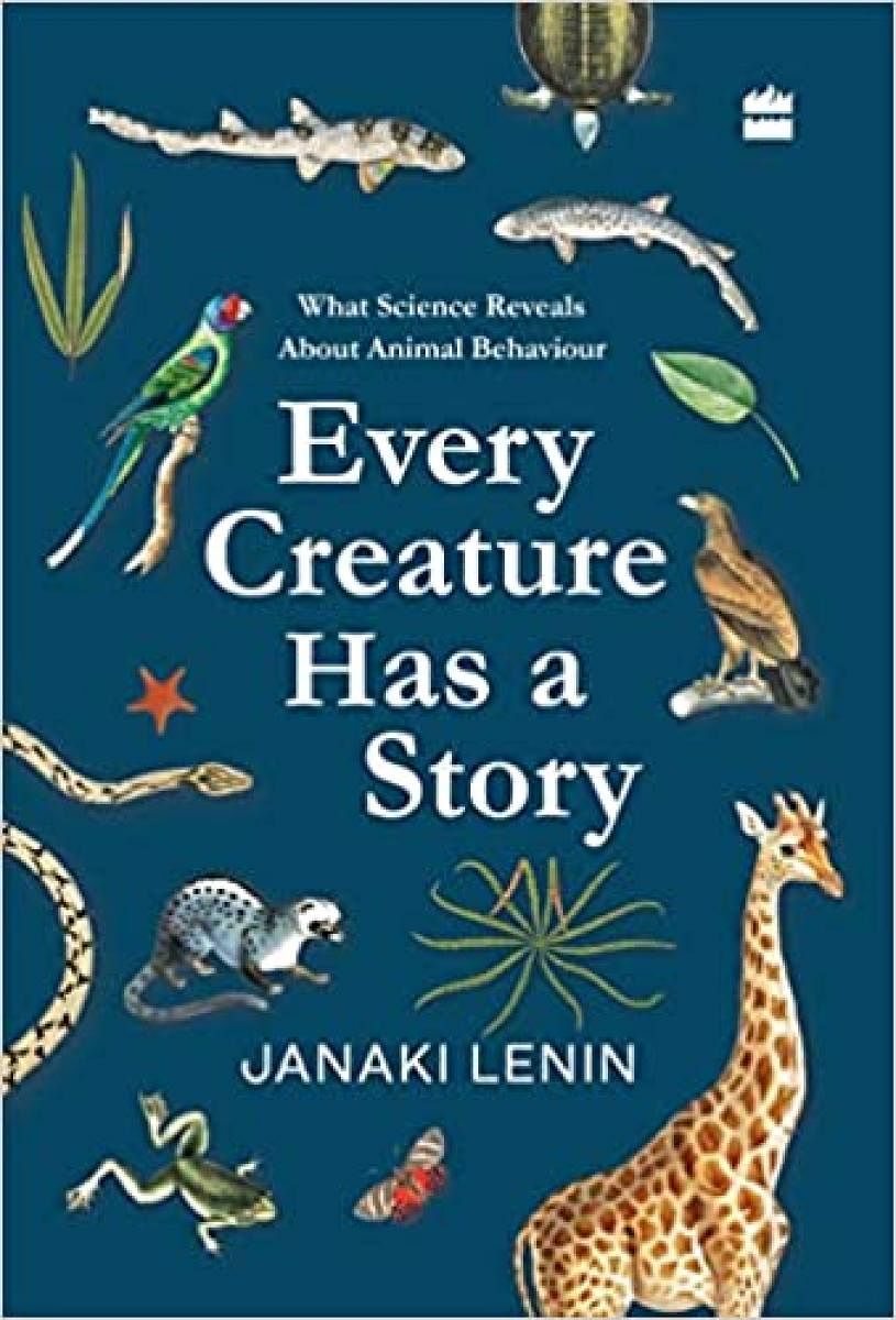 Every Creature Has A Story