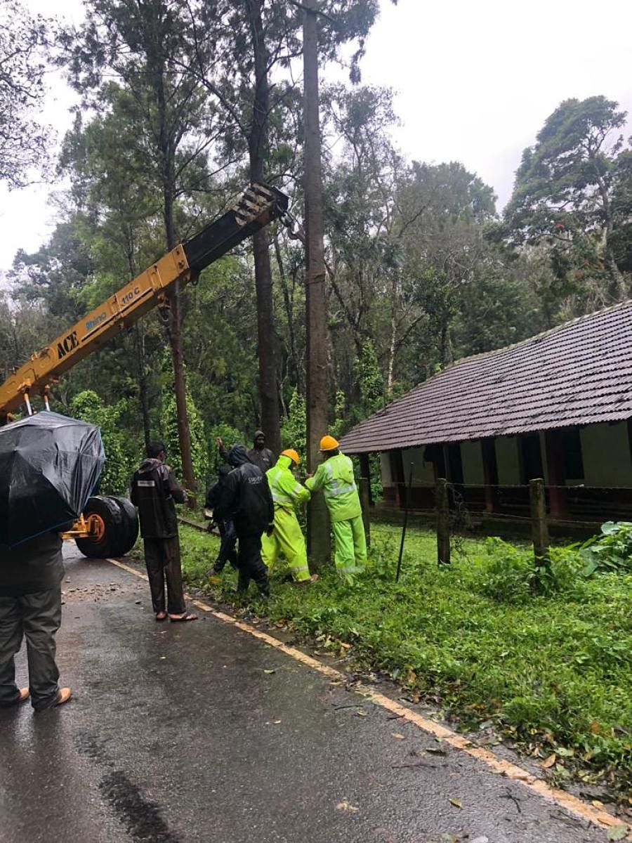 CESC personnel engaged in the restoration of a broken electricity line in Madapura region of Somwarpet taluk. DH Photo