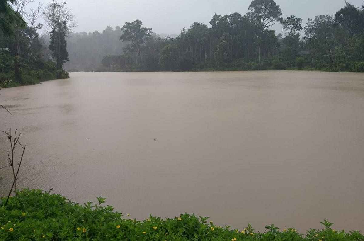 Paddy fields submerged in water following heavy rain in Bethri near Virajpet.