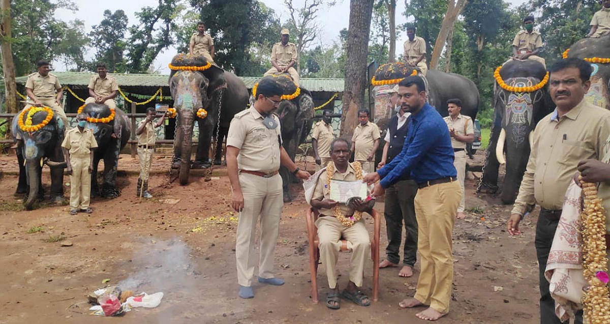 Mahouts decorate the elephants. DH Photos