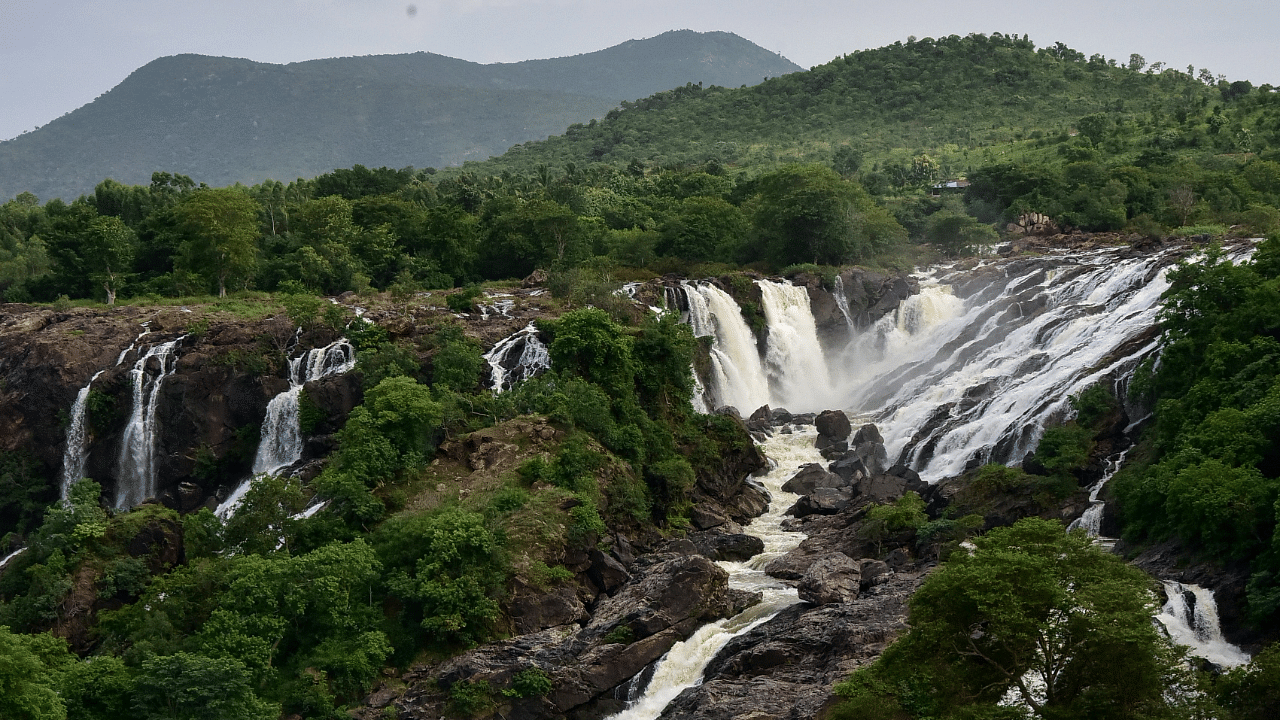 Bharachukki Falls in Kollegal taluk. Credits: DH Photo