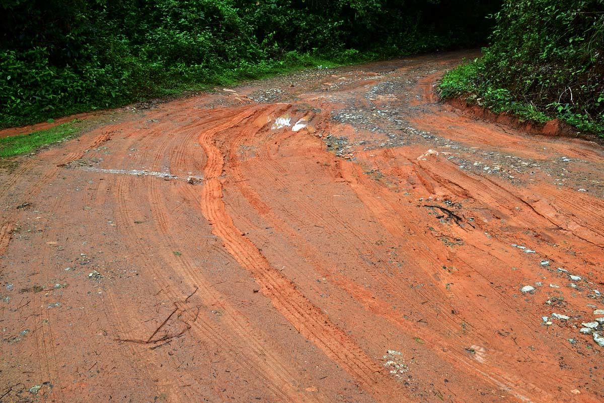 The muddy road in Balpa village.