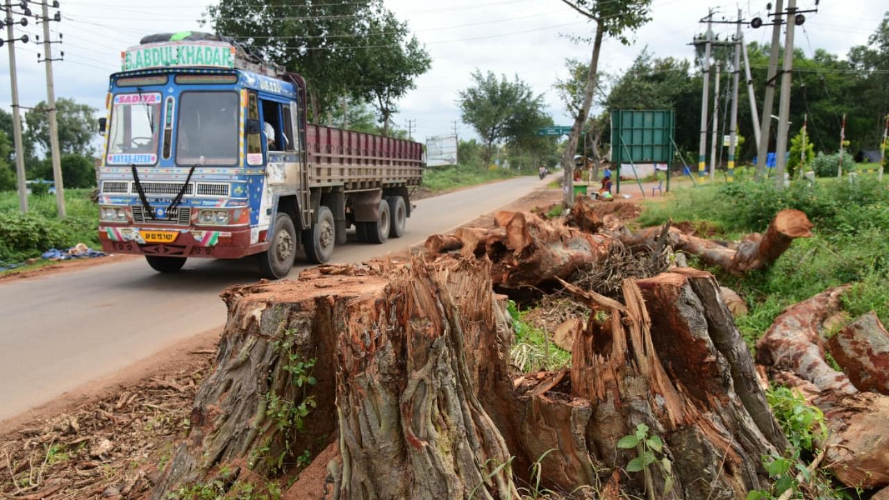 Trees axed as part of a road-widening project between Nelamangala and Doddaballapura. DH Photo/B H Shivakumar
