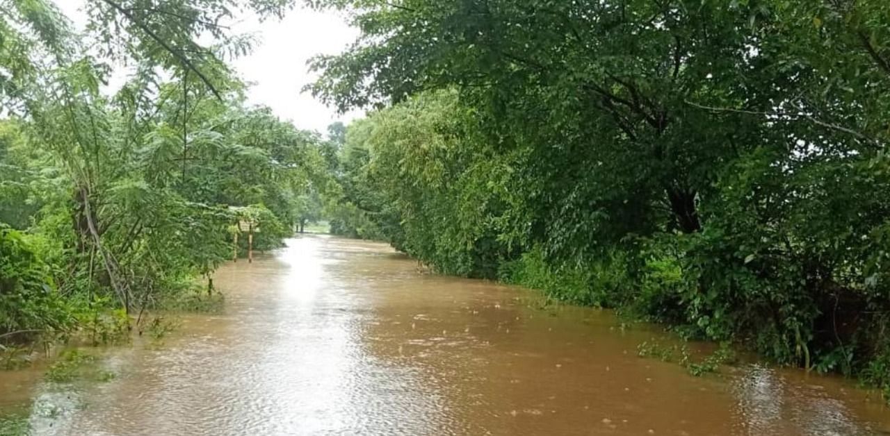 The Sindhanur-Hemmadga state highway under water in Khanapur taluk, Belagavi district. The forest areas in the taluk have been experiencing torrential rain for the last few days. Credit: DH photo