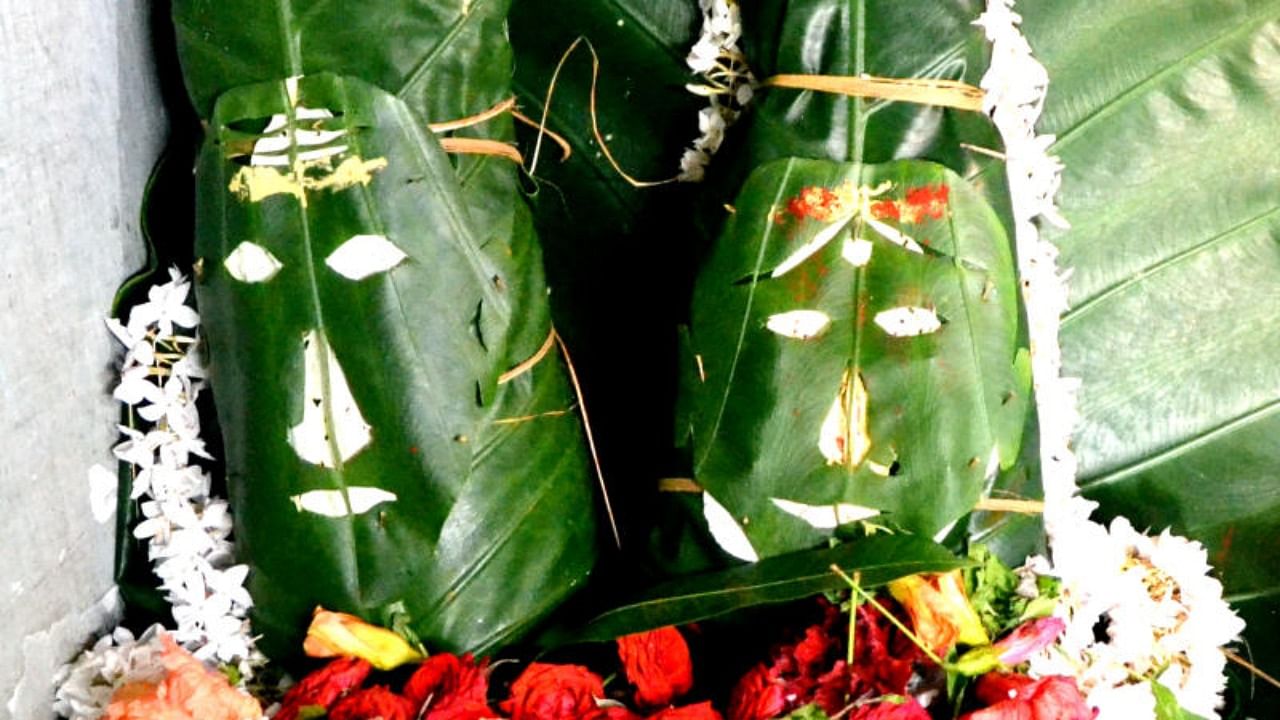 Lord Shiva and Parvati are decorated with Alocasia leaves. PHOTOS BY AUTHOR
