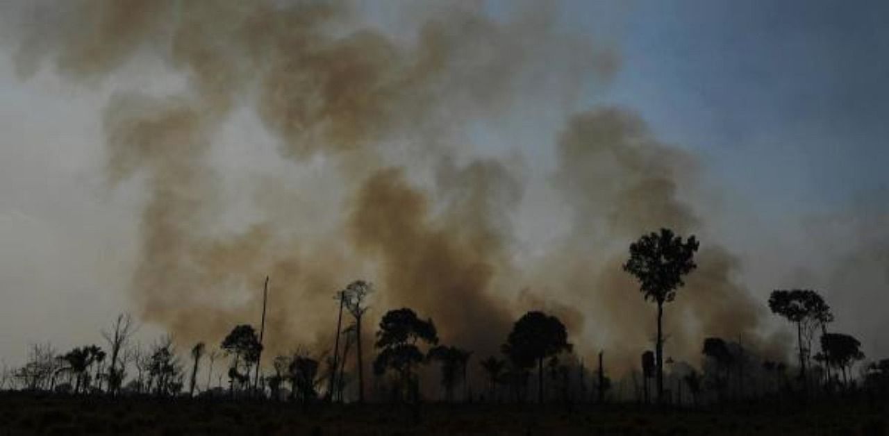 iew of a burnt area of Amazon rainforest reserve, south of Novo Progresso in Para state. Credit: AFP