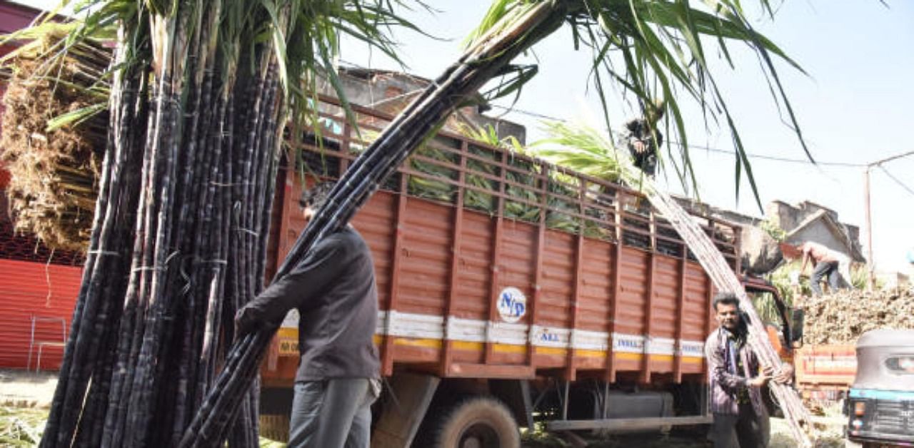 Workers unloading sugarcane from the truck. Credit: DH File Photo