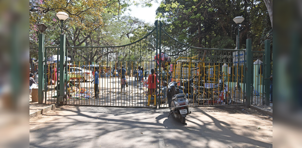 Cubbon Park, Bengaluru’s cherished lung space. Credit: DH Photo