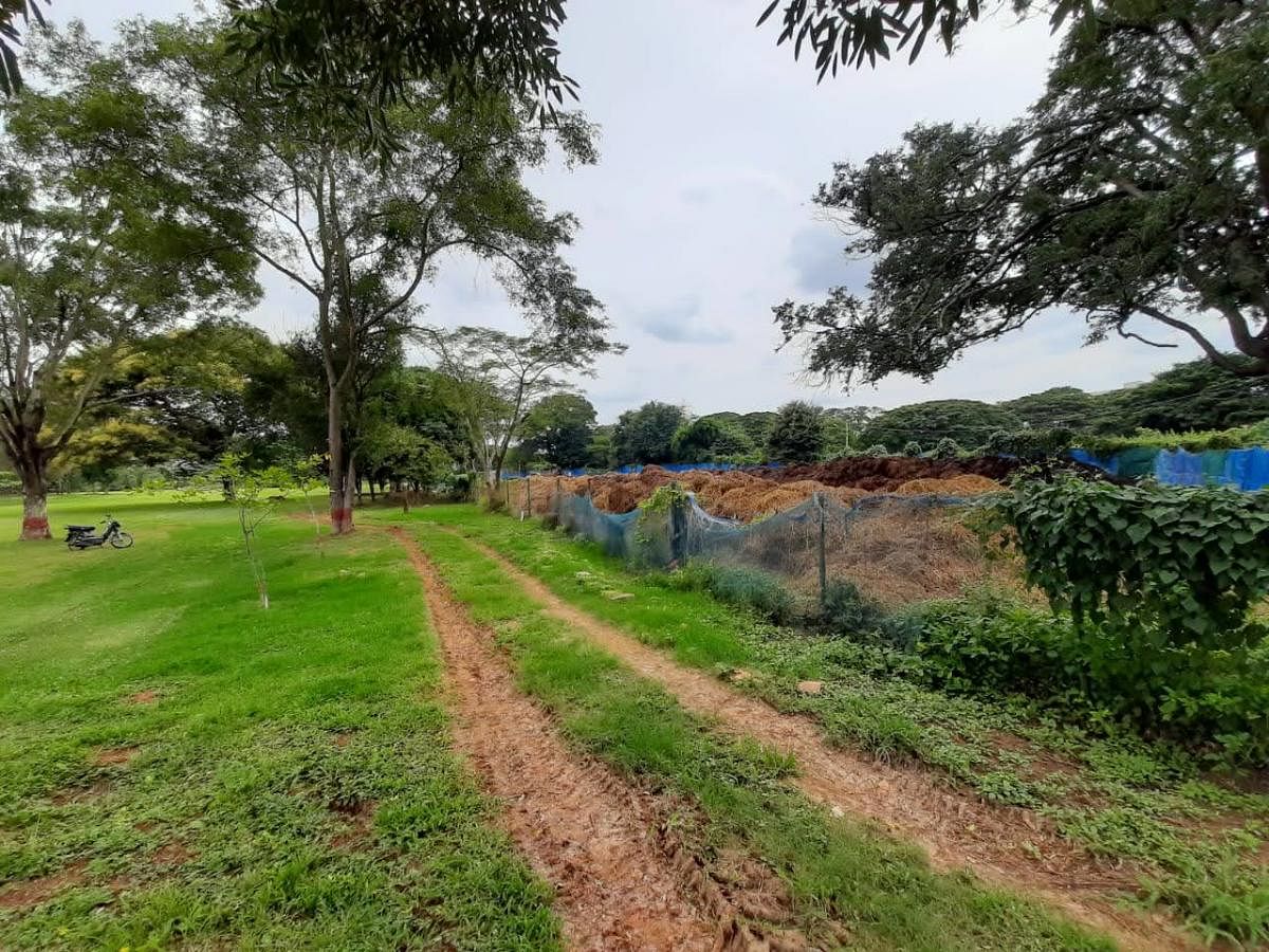 Dumping of horse manure in an enclosure along the golf course in Mysuru. DH PHOTO