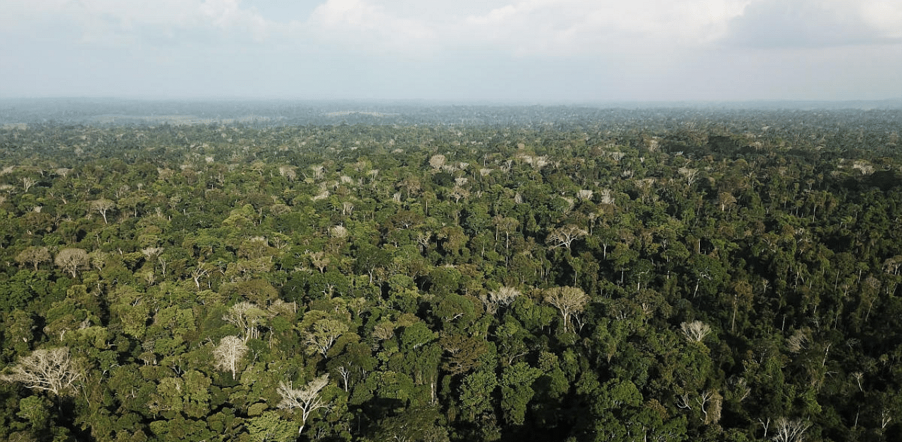 An aerial view shows the Amazon rainforest. Credit: Reuters