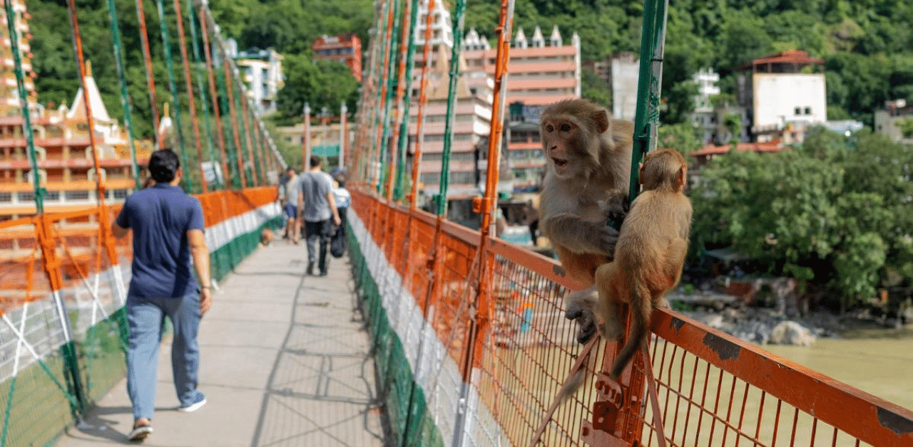  A French woman has been arrested for making a video of herself naked on a holy bridge in the Indian city of Rishikesh, police said. Credit: AFP Photo