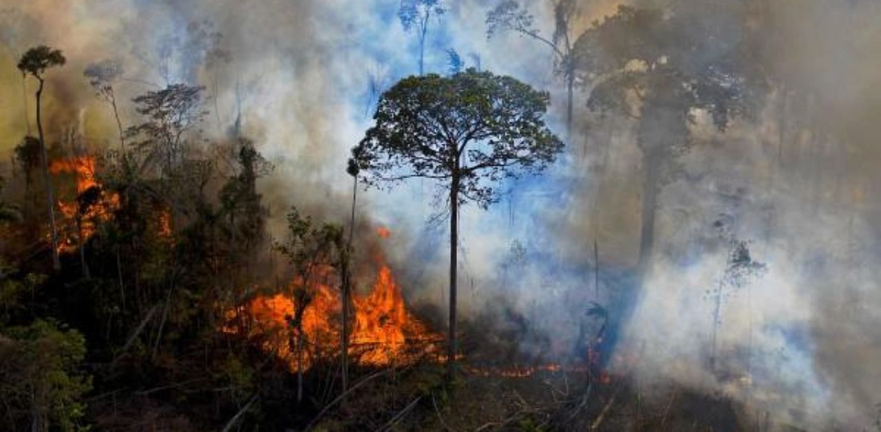 Smoke rises from an illegally lit fire in Amazon rainforest reserve, south of Novo Progresso in Para state, Brazil. Credit: AFP