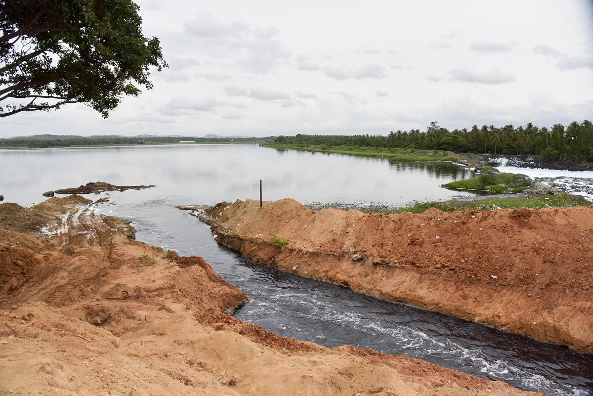 Byramangala lake. Credit: DH File Photo/B H Shivakumar