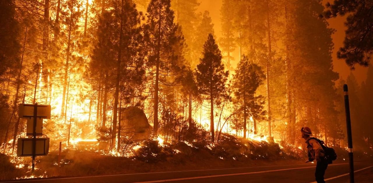 Wildfire at Creek Fire, California. Credit: AP Photo
